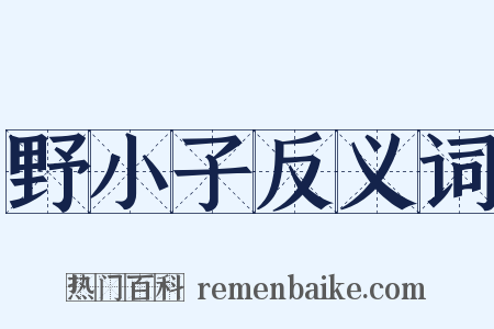 野小子反义词是什么意思的图片